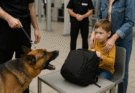 Security Dog Started Barking at a Child’s Backpack—What Was Inside Made the Whole Airport Go Silent